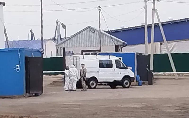 В Промышленновском округе Кемеровской области у агрокомплекса «Ваганово» введён усиленный санитарный режим: выставлены блокпосты, оцеплена ферма и сообщается о массовом забое дойного стада.