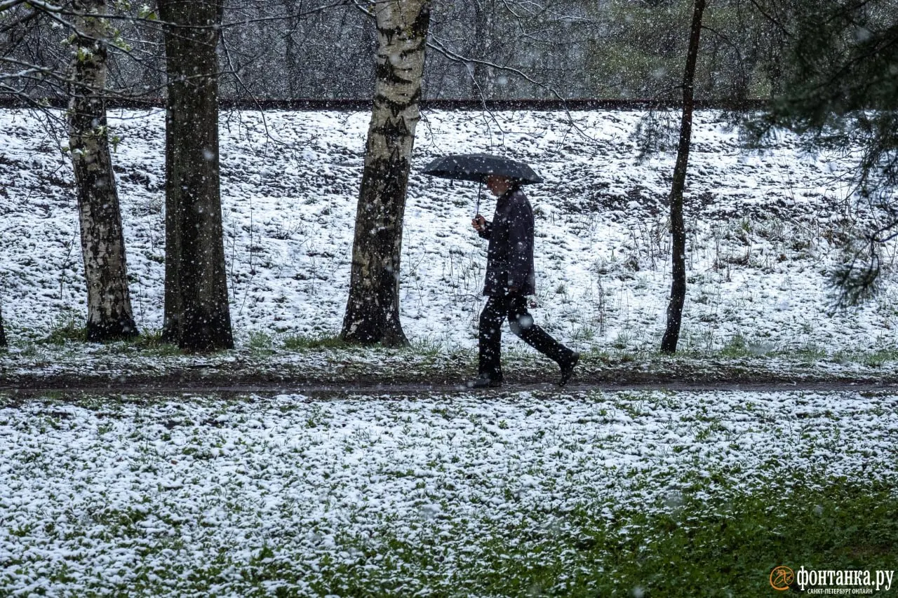 До −6 °C, сильный ветер и снег ожидаются в ночь на 13 мая; подробные прогнозы для Кемерова и Новокузнецка опубликованы на региональном ресурсе.