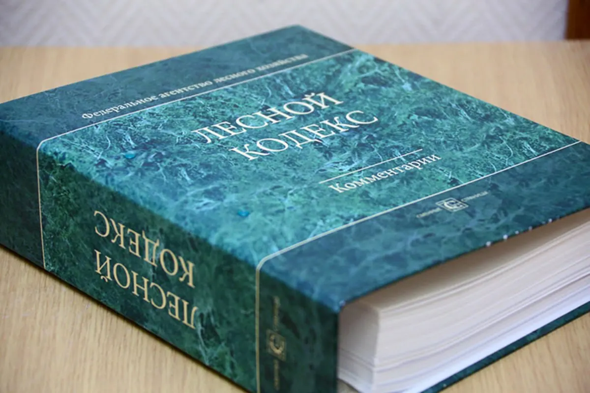 Лесной кодекс 2006 года претерпел десятки поправок — эксперт по лесному хозяйству считает, что документ устарел и требует замены и кардинального упрощения.