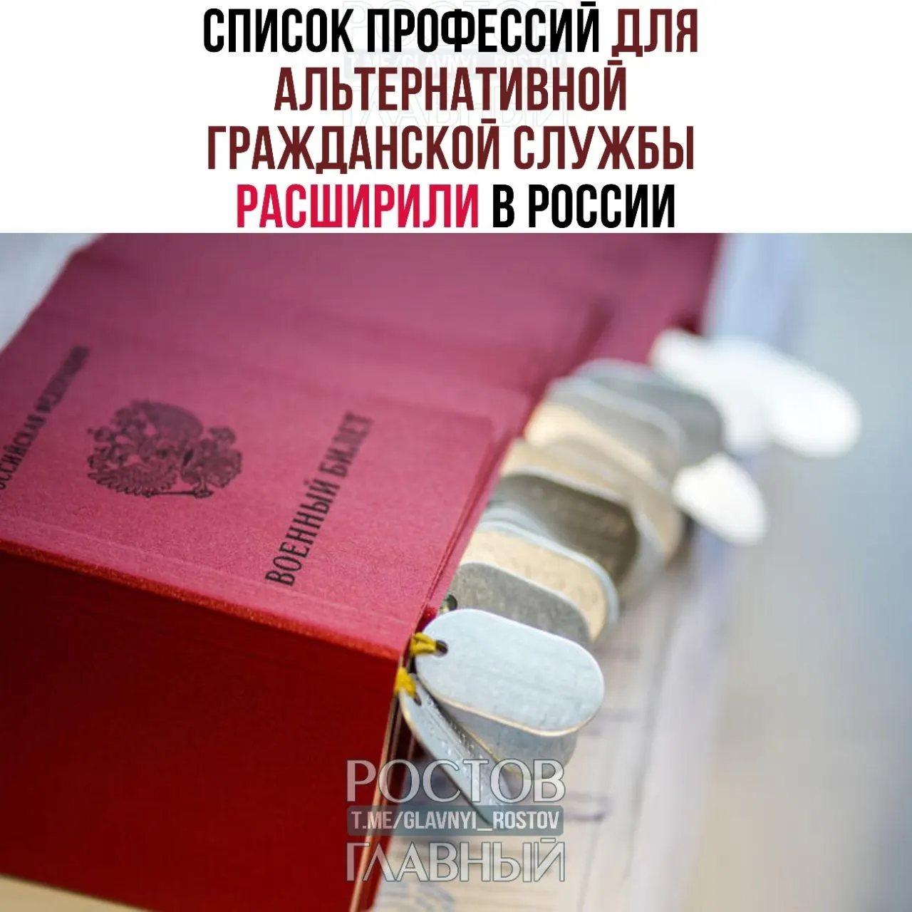 В список добавили врачей, ремесленников и технических специалистов — от травматолога‑ортопеда до синоптика; ранее в перечне было 271 направление.