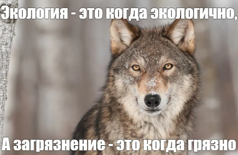 Власти Кемерова потратили почти 100 млн руб. на очистку воздуха, но с 2020 года выбросы упали лишь на 1,2 тыс. тонн — около 1,5%.