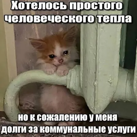 ВС подтвердил, что задолженности по капитальному ремонту старше срока исковой давности (3 года) нельзя отражать в платёжных документах и принудительно взыскивать — это решение может защитить покупателей вторичного жилья и наследников.