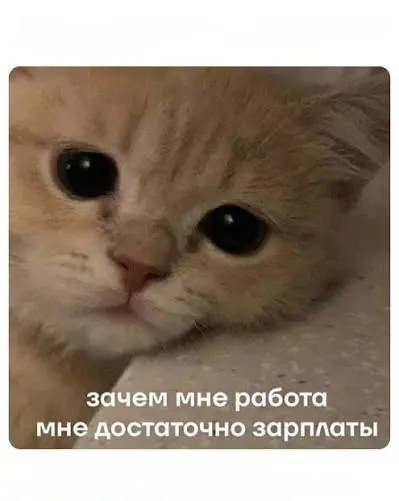 Средняя зарплата в регионе выросла примерно на 4% с начала года; быстрее растут оклады в строительстве, сервисе и закупках, максимальные доходы по-прежнему у вахтовиков.