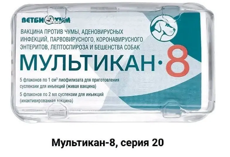 После прививки препаратом Мультикан-8 у собак зафиксированы смерти в нескольких регионах. Владельцы требуют расследования и прозрачности.