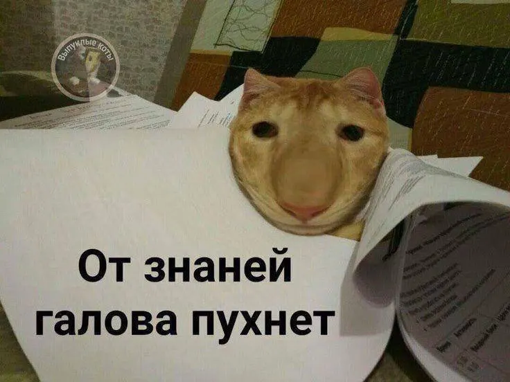 Минспорт планирует ввести тест по управлению небольшим дроном в тестовом режиме уже в этом году, а со следующего года желающие по всей стране смогут получить знак ГТО по этому нормативу. Значок даст выпускнику до 10 баллов к результатам экзамена.