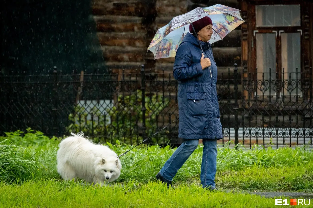После короткого потепления в выходные арктическая холодная масса вернётся в Кузбасс: прогноз обещает дожди, грозы и похолодание до +5 градусов в воскресенье.