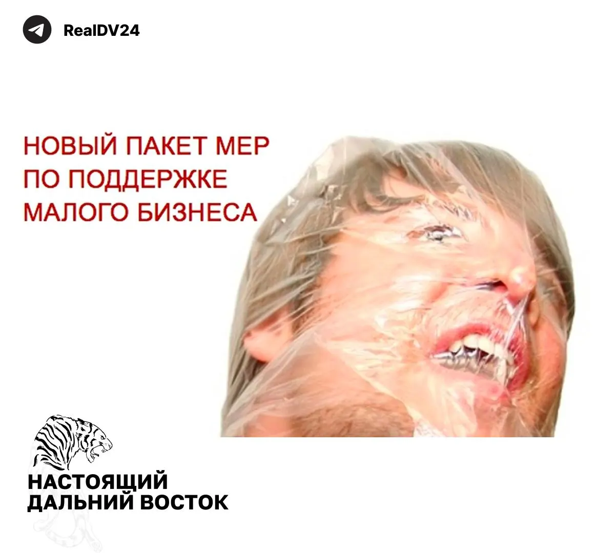 Федеральная налоговая служба направила регионам рекомендации по повышению налоговых поступлений: от расширения налогооблагаемой недвижимости до роста транспортного налога и пересмотра льгот.