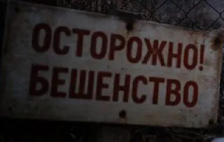В Пинигино (Кемеровский район) найдено животное, заражённое бешенством. В населённом пункте введён карантин на два месяца; ранее в области сняли ограничения сразу в шести территориях.