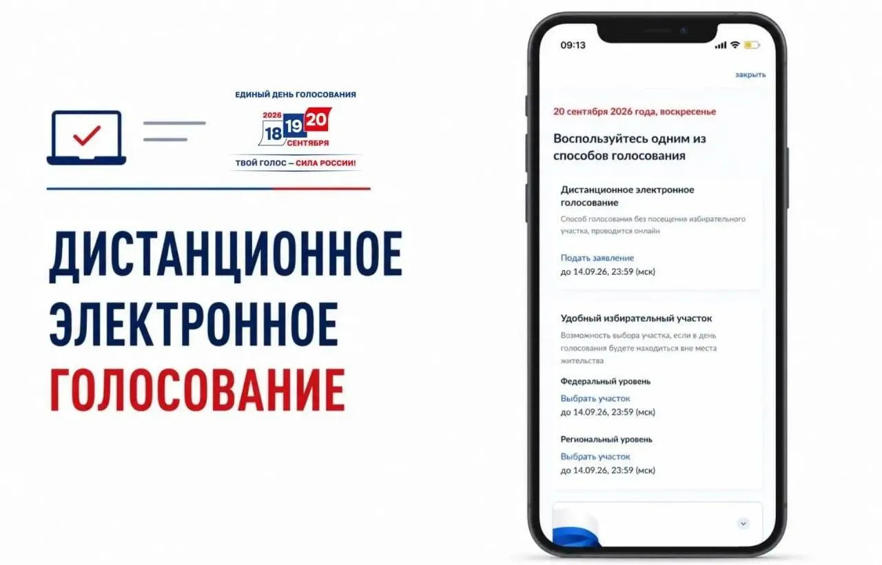 Открыт прием заявлений на дистанционное электронное голосование на портале госуслуг; рассмотрены риски и особенности участия.