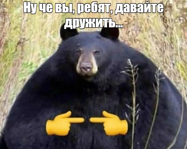 Медведи выходят к людям из тайги и заходят в города Кузбасса; чиновники объясняют причины роста активности и почему радикальные меры недопустимы.