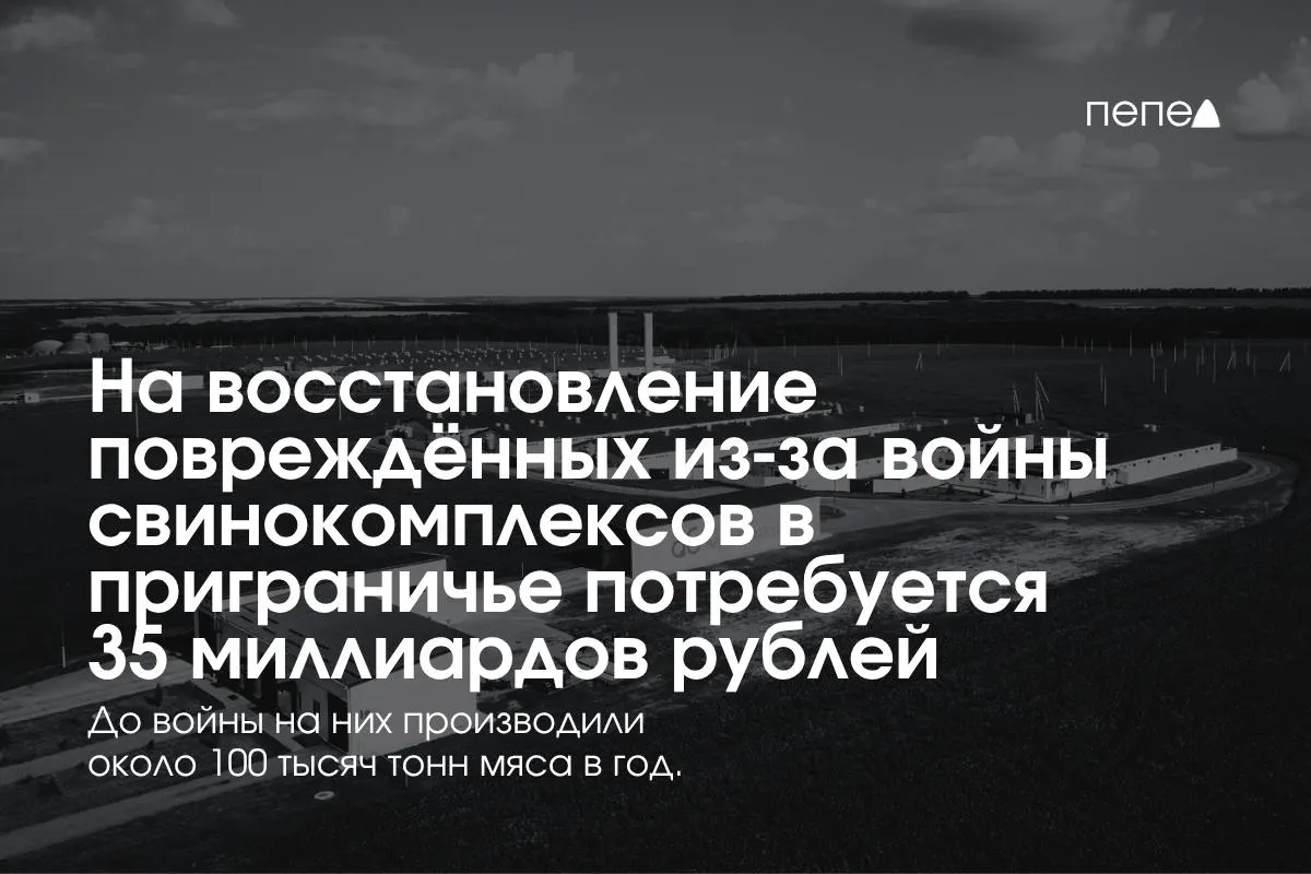 Оценка восстановления свинокомплексов в Белгородской, Курской и Брянской областях достигнет 35 млрд рублей; за счёт расходов на безопасность и инфраструктуру регионы остаются важной частью аграрного сектора страны.