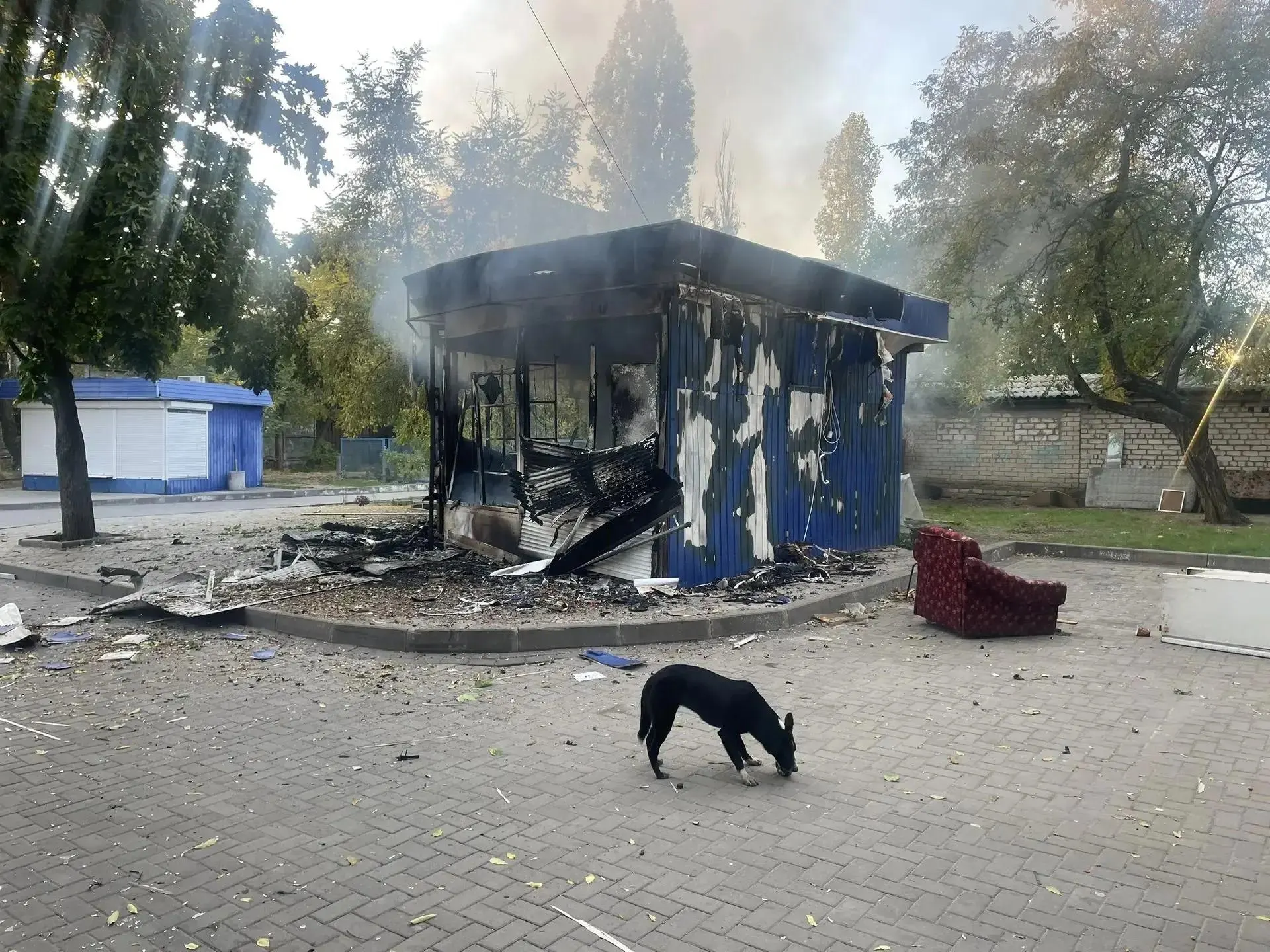 Ночная волна атак дронов охватила территорию от Воронежа до Татарстана: более 500 беспилотников нанесли удары, есть пострадавшие и пожар в магазине.